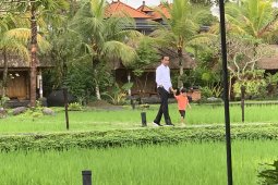 Jokowi kunjungan sekaligus momong cucu di Bali (video)