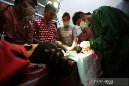 Pengobatan Beruang Madu korban jeratan
