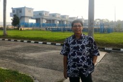 Akademisi: kacang hijau tanaman alternatif  saat kemarau