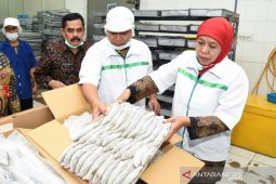 Sektor industri pengolahan dominasi penerimaan pajak DJP Jatim I