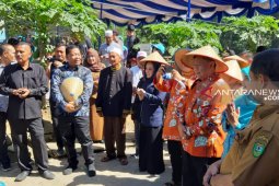 Sayur Maincat nominasi "Desa Hatinya PKK" terbaik tingkat nasional