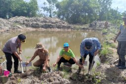 Pemkab Bangka Tengah tanam 500 bibit bakau di kawasan Pantai Kuruk