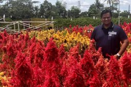 Erwin Ibrahim dinobatkan dosen luar biasa Unsri