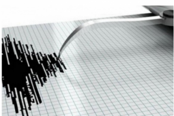 Gempa 7,7 SR guncang Maluku