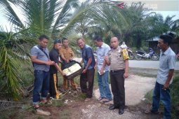 Warga temukan belasan bungkus sabu-sabu dan ekstasi dalam koper