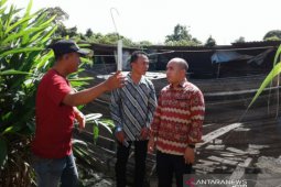 Pemkot Pangkalpinang akan benahi BBIL di kawasan Ketapang