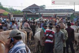Pasar hewan Cibarusah beroperasi pada akhir  2019