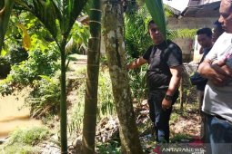 Sering abrasi, Dinas PUPR Aceh Jaya usulkan pelurusan Sungai Curek - Alue Thoe