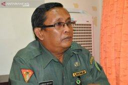 Areal Padi Penajam Mencapai 15.090 Hektare