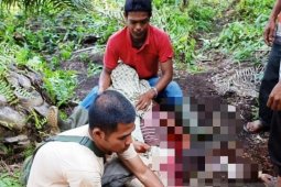 Warga Nagan Raya ditemukan tewas bersimbah darah di kebun