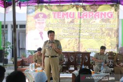 Bupati Bangka Tengah hadiri temu lapang dengan petani lada