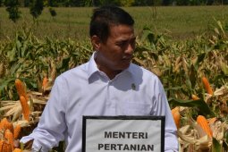 Menteri pertanian copot pejabat terlibat kasus suap impor bawang putih