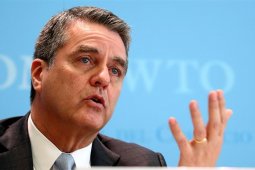 WTO: Pembatasan perdagangan di antara G20 berlanjut pada tingkat tinggi