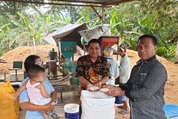 Bulog Maluku tetap beli beras dari petani Buru