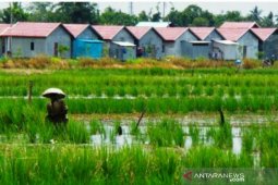 Pemda tak bisa batalkan alih fungsi lahan pertanian