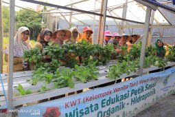 Panen Mawar Berseri tambah penghasilan warga