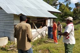 Pemerintah Aceh upayakan giring gajah kembali ke hutan di  Nagan Raya
