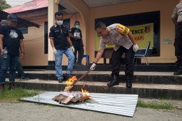 Kapolres Manokwari musnahkan puluhan paket narkoba tak bertuan