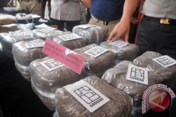 Pengguna narkoba tembakau sintetis divonis 1,7 tahun penjara