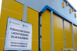 ULM kembangkan "Pasak Bumi" bermanfaat tingkatkan vitalitas