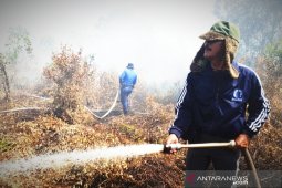 Land fires hit Sampit