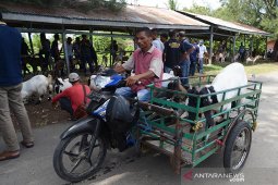 Target KUR sektor peternakan