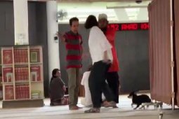DMI mengutuk perbuatan bawa anjing ke masjid