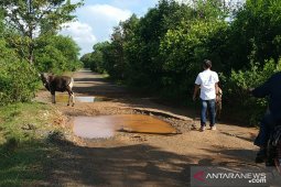 Jalan KualaTambangan-Tanjung Dewa alami  kerusakan