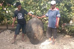 Kelompok warga secara swadaya jaga populasi penyu di pesisir Tulungagung