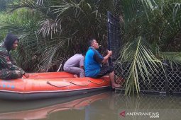 Buaya pemangsa warga masuk perangkap BKSDA