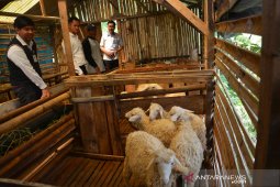 Pelatihan kelompok peternak mitra BTN