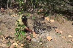 Lahan pertanian terdampak kekeringan di Magetan meluas