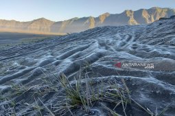 Liburan, fenomena frost di Gunung Bromo tingkatkan kunjungan wisatawan