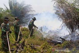 Kebakaran lahan gambut di Nagan Raya