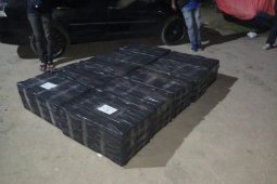 Polisi tangkap enam orang selundupkan benih lobster