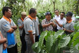 Pelatihan petani kopi mitra KAI
