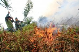 Kebakaran lahan masih landa Nagan Raya