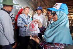 Kemenko Maritim tinjau produksi garam Aceh dengan sistem  tunnel