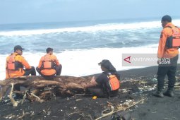 SAR belum temukan nelayan Jember tenggelam di perairan Lumajang