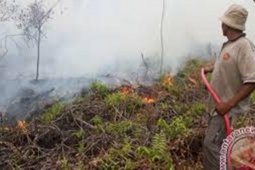 Kejari  Batanghari peringatkan untuk tidak membuka lahan dengan membakar