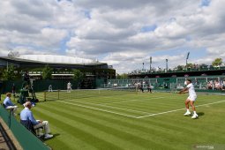 Tomic didenda karena bermain di bawah standar di Wimbledon