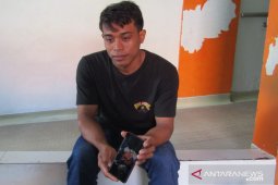 Bayi kembar siam asal Buleleng dirawat Intensif di RSUP Sanglah