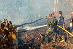 Kebakaran hutan di Aceh capai 60 hektare sepekan terakhir