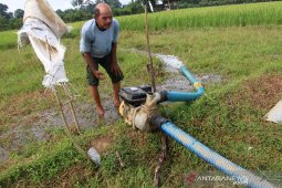 Kekeringan di Aceh Barat