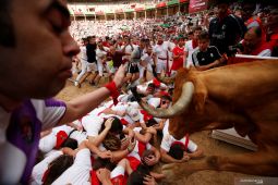 Pria di Spanyol tewas ditanduk di festival banteng