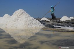 Kemenko Maritim usul garam dikategorikan kebutuhan pokok