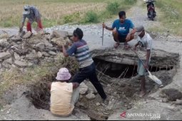 Tradisi gotong royong petani masih terjaga di Abdya