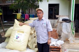 Pupuk "Biotara" tingkatkan produksi padi rawa hingga 20 persen