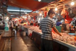 Harga ayam potong di Pontianak naik lagi