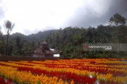 Pelaku usaha pariwisata Rejang Lebong diminta urus perizinan